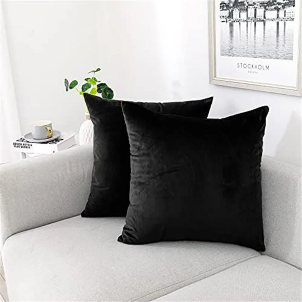 2 Pack Decorative Throw Pillow Covers Velvet Throw Pillow Cases